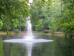 Ponds_A_large