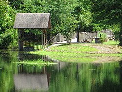 Ponds_B_large