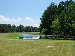 Ponds_C_large
