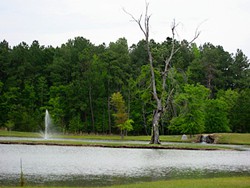 Ponds_D_large