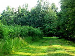 Roads_A_large