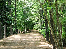 Roads_C_large